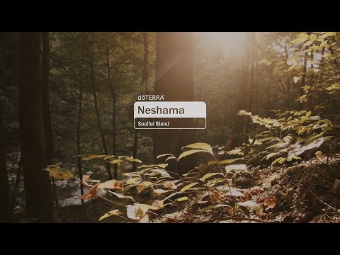 doTERRA Neshama - Blend za dušu