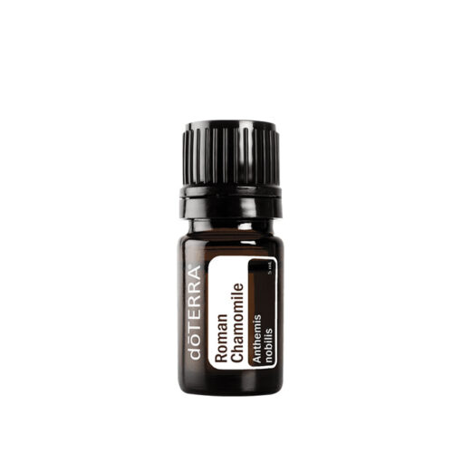 Roman Chamomile