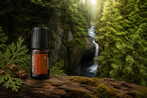 doTERRA Arborvitae eterično ulje — bočica na drvenoj podlozi sa granama zapadnog crvenog kedra