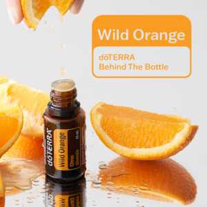 Wild Orange Promocija