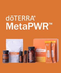 MetaPWR