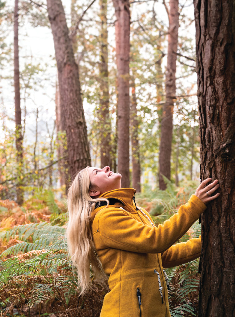Matsuo Basho je rekao: