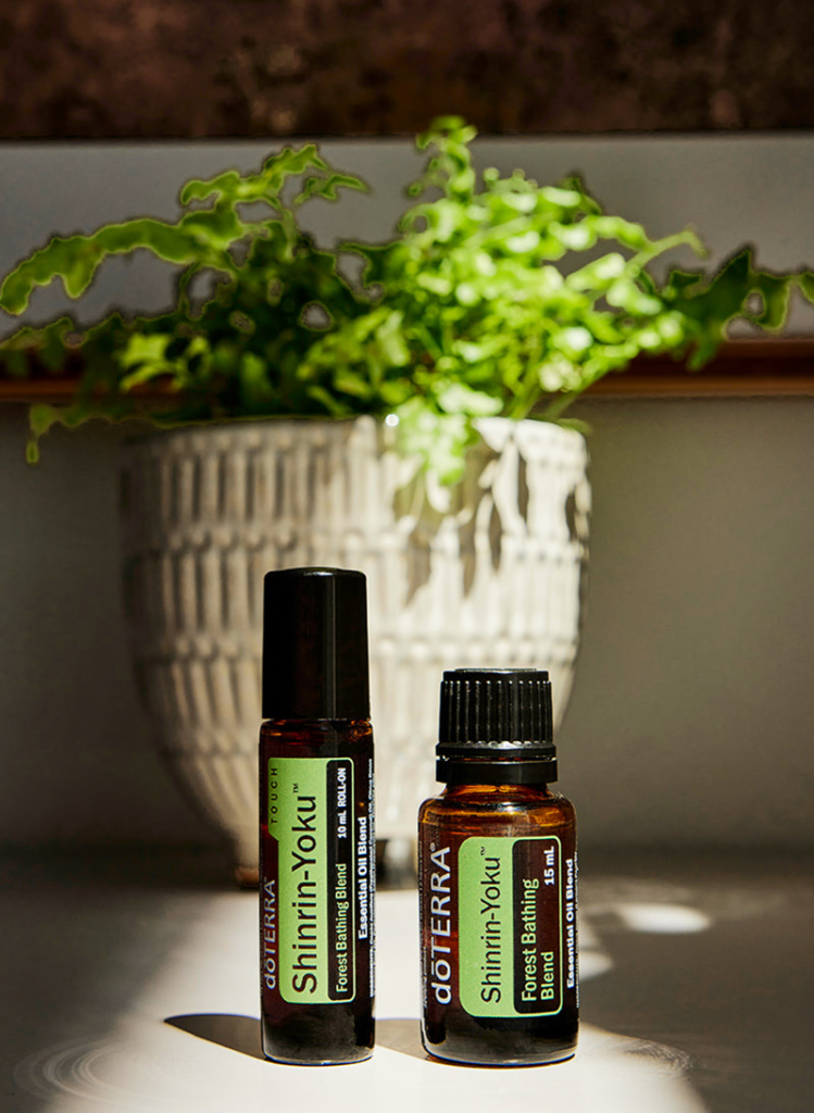 upanje u šumi u kućnim uslovima