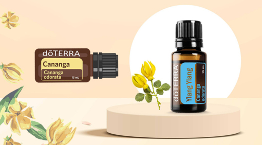 cananga i ilang-ilang