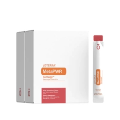 MetaPWR Recharge