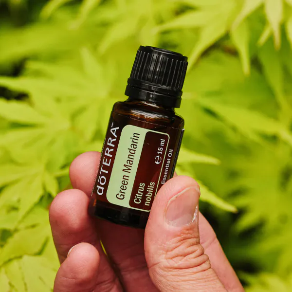Besplatan proizvod meseca – Green Mandarin (15 ml)
