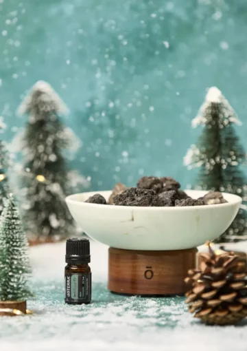 Himalayan Fir (5 ml) & Lava Rock Passive Bowl Diffuser