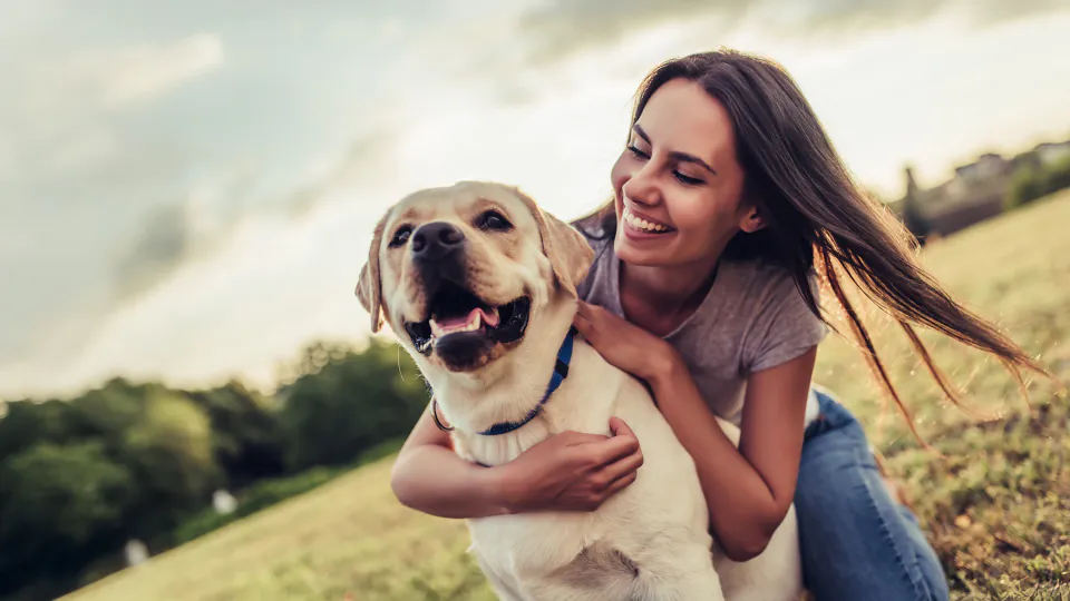 Topikalna (spoljašnja) primena etarskih ulja kod pasa i mački