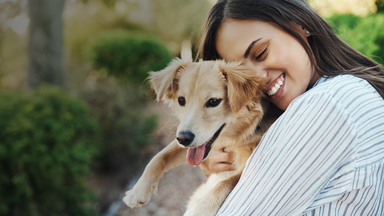 doTERRA Eterična ulja i kućni ljubimci. Kuce i mace