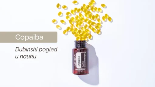 Kako Copaiba meke kapsule utiču na telo: Ćelijski, molekularni i mikrobiom nivo