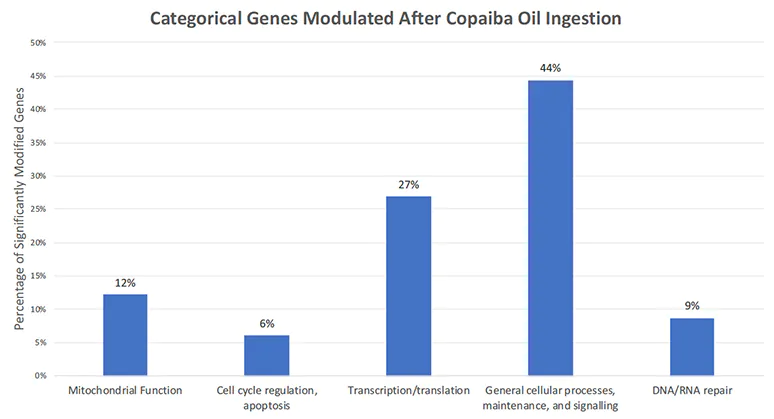 Kategorizovani geni koji se modulišu nakon unosa ulja Copaiba