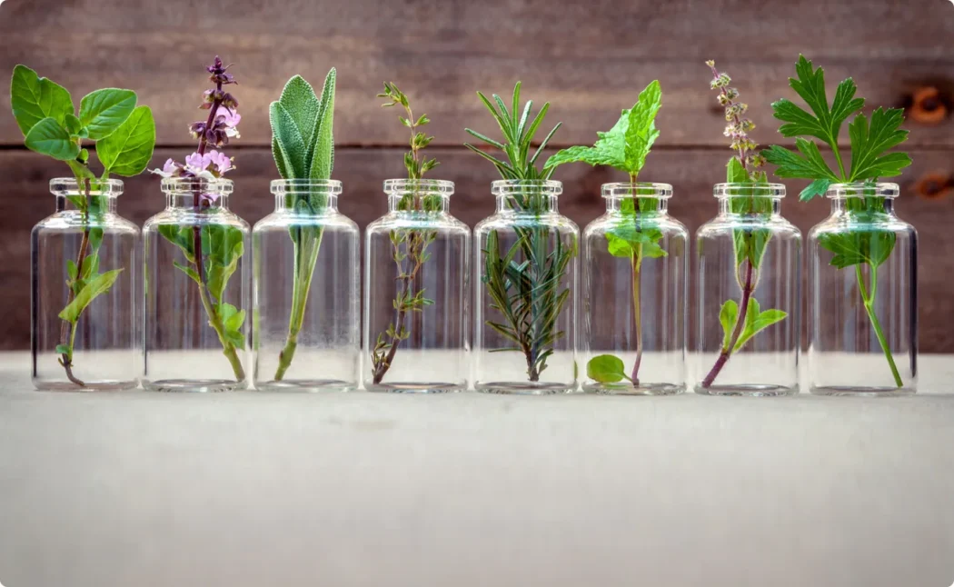 Sta su eterična ulja i od cega se prave