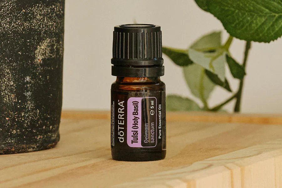 Tulsi ulje – upotreba i popust