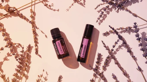 Sve što treba da znate o eteričnom ulju lavande: sastav, svojstva, upotreba i naučna istraživanja