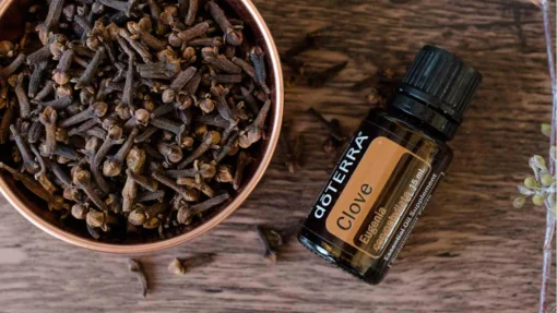 Eterično ulje karanfilića i artritis – nova naučna studija o eugenolu i upali zglobova