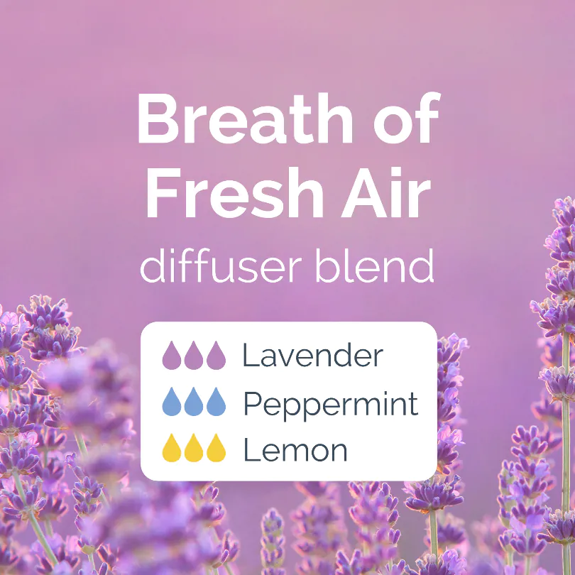 Difuzer blend za svež vazduh: eterična ulja lavande, nane i limuna