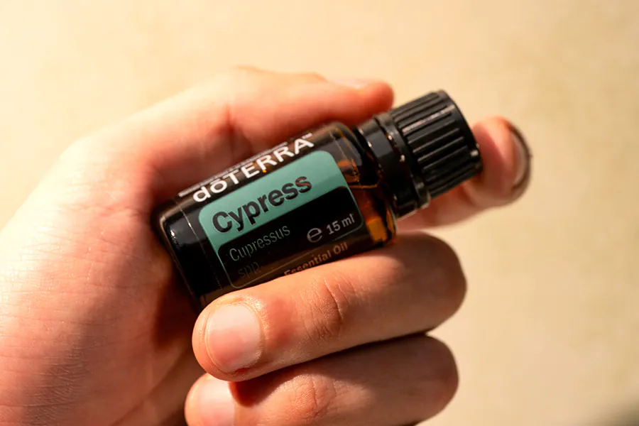 dōTERRA Cypress eterično ulje, besplatan poklon meseca septembra, 15 ml